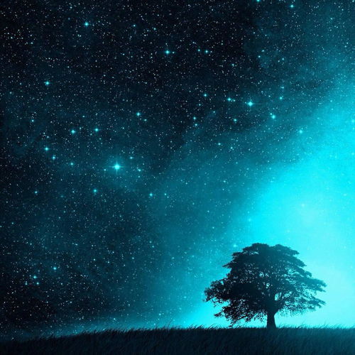 十月星座感情运 放松下来，感受浪漫的温柔